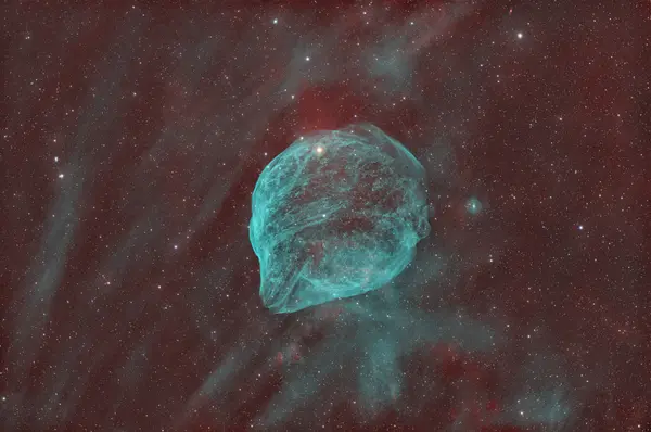Nebulosa Testa di Delfino