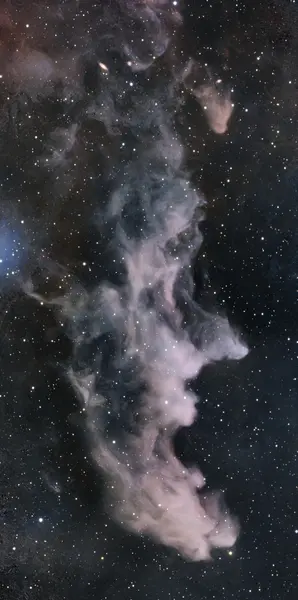 Nebulosa Testa di Strega