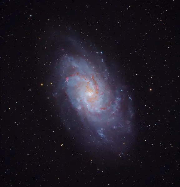 Galassia del Triangolo