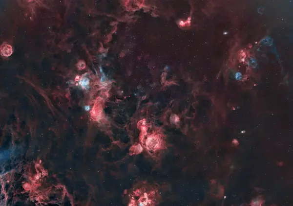 Barriera Corallina Cosmica