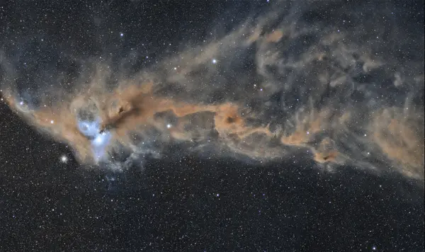Complesso Molecolare della Corona Australe