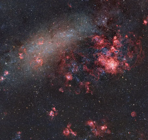 Una Tarantola di Fuoco